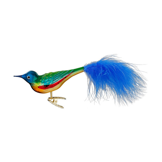 Paradijsvliegenvanger, 11 cm