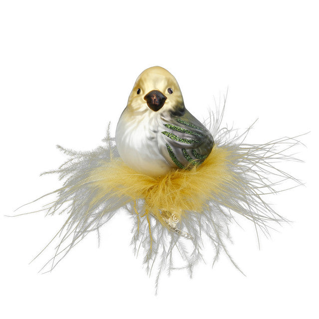 Groenling, 7 cm