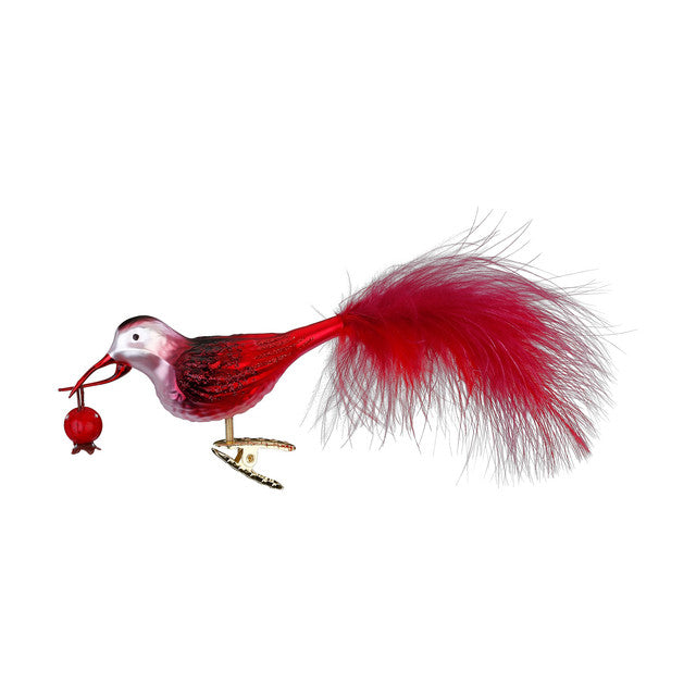 Zoete Oogst, 10,7 cm