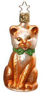 Purr-fect bruin, 3,4''