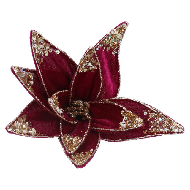 poinsettia goud
