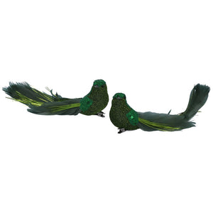 vogel groen