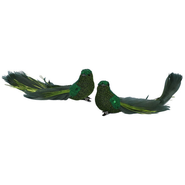 vogel groen