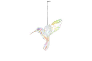 kolibrie regenboog