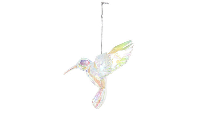 kolibrie regenboog