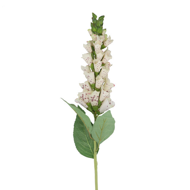 foxglove cream