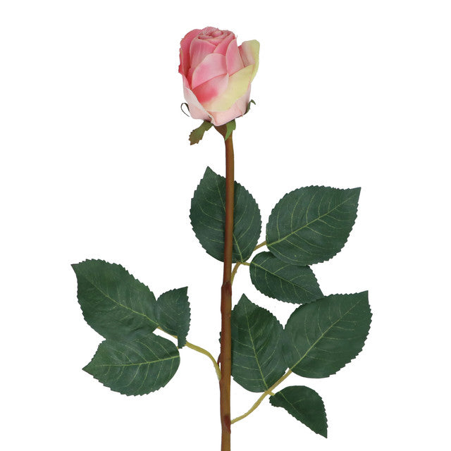 roos roze