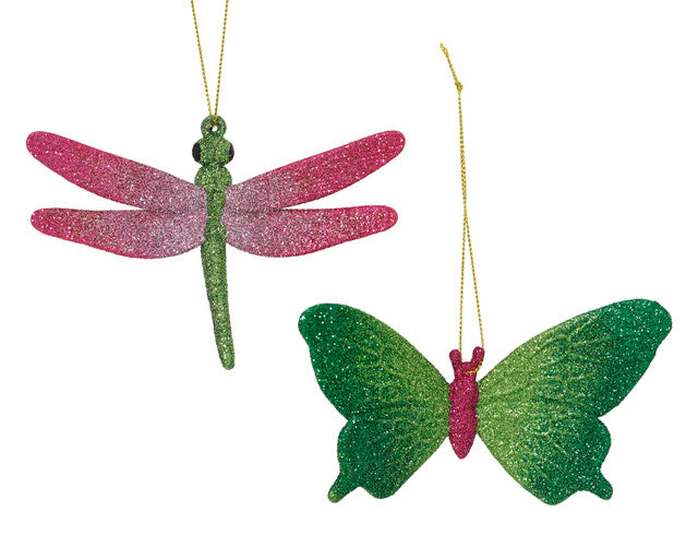 insect