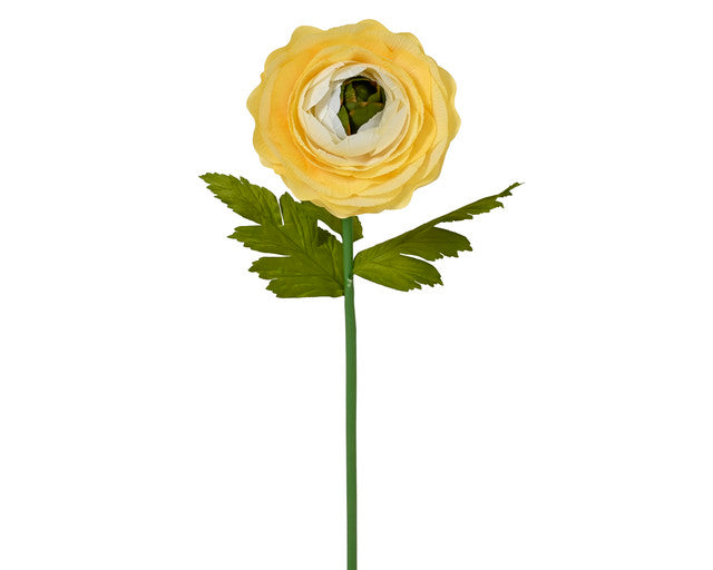 ranonkel geel