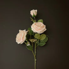 Afbeelding in Gallery-weergave laden, Rozentak wit/roze (per stuk)
