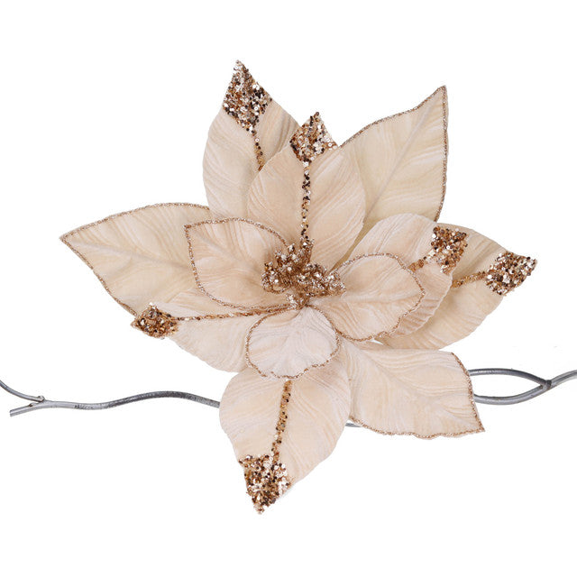 poinsettia creme