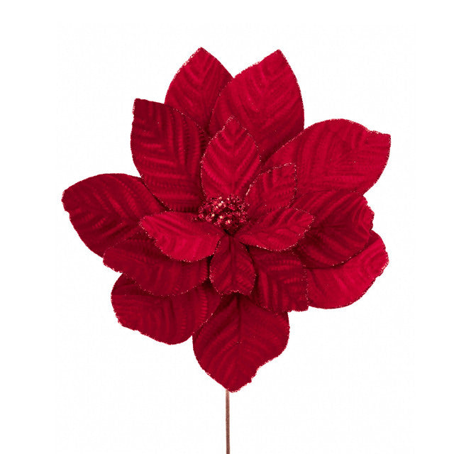 tak poinsettia