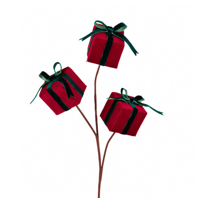 tak cadeau