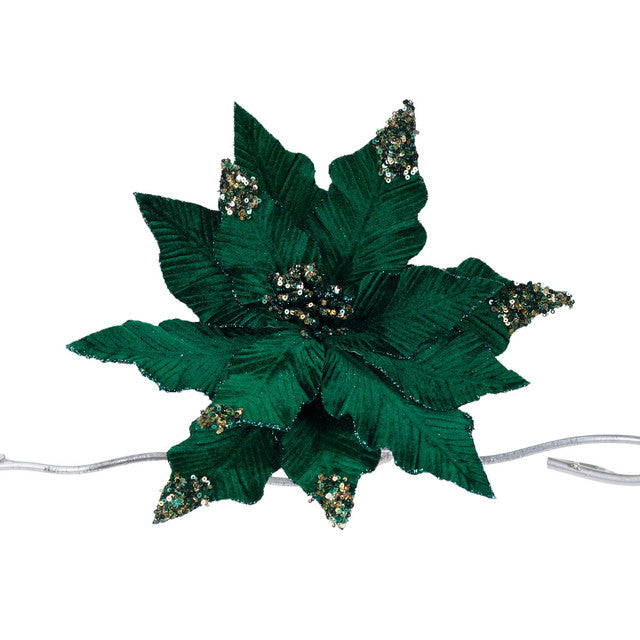 poinsettia groen