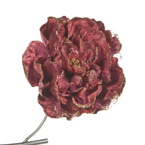 peony