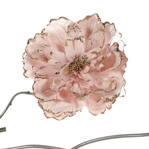 peony roze