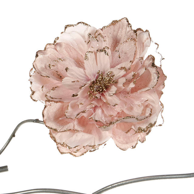 peony roze