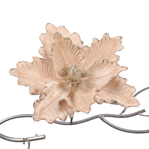 magnolia creme