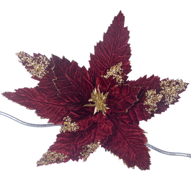 poinsettia bordeau goud