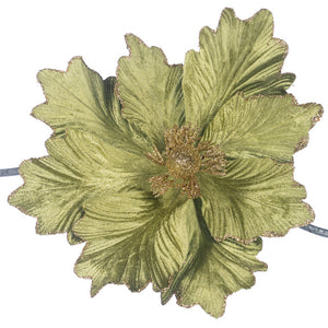 magnolia groen