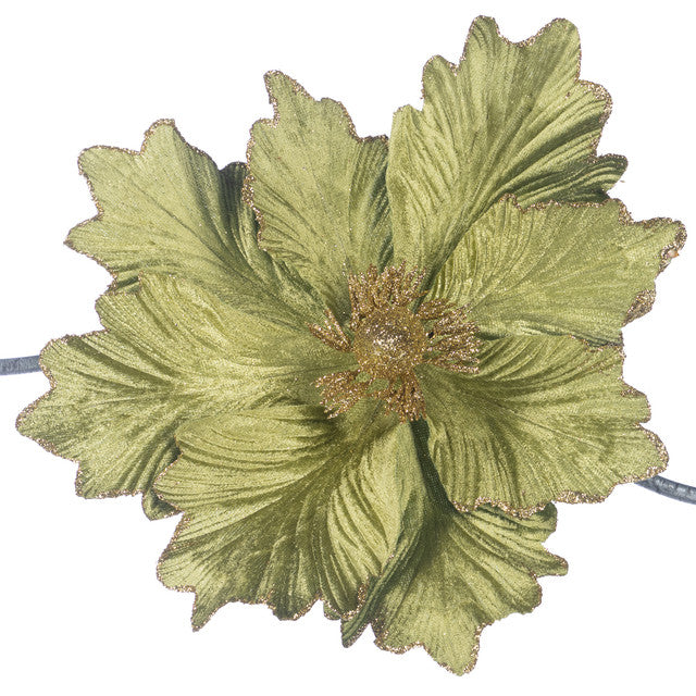 magnolia groen