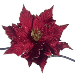 poinsettia rood