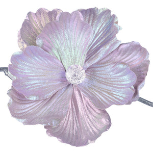 magnolia roze
