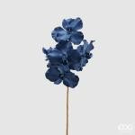 Orchidea vanda blauw