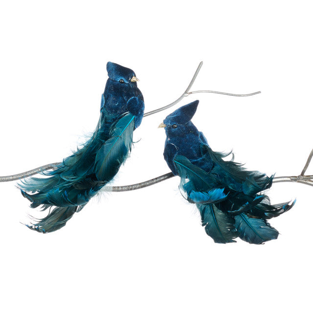 vogel blauw