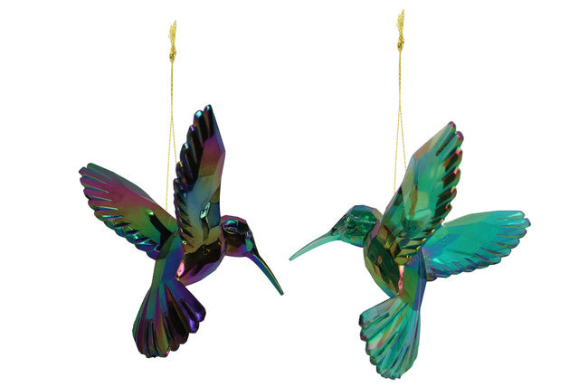 acryl kolibrie