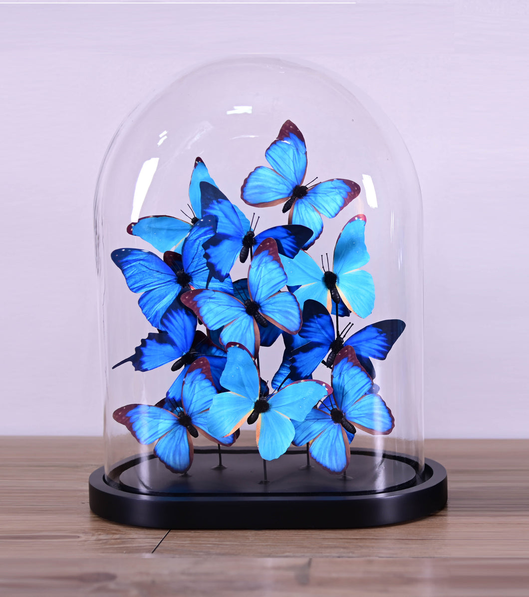 Cloche en verre avec papillons