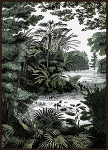 cadre de la forêt tropicale 2