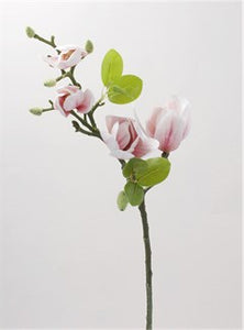 Lichtroze magnoliatak,