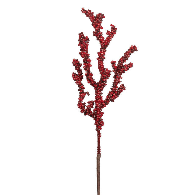 koraal rood bessen
